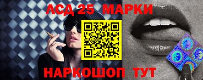 шишки Ставрополь