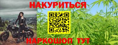 шишки Ставрополь
