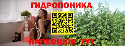 шишки Ставрополь